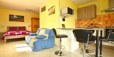 Espace séjour, cuisine et chambre / Living room, kitchen and bedroom