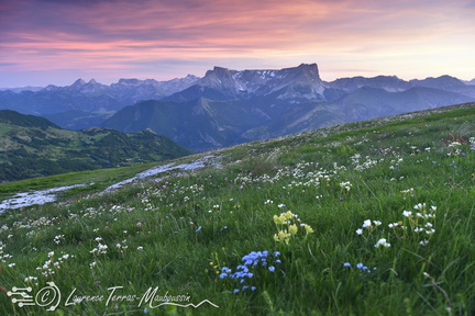 Lever de soleil sur le plateau de Ceüse, Sentier de la crête