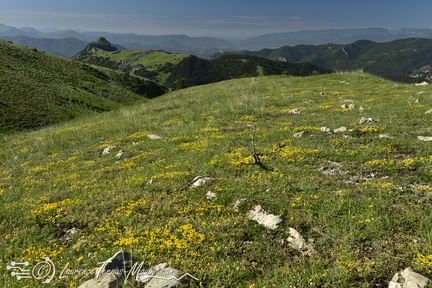 Vue depuis la randonnée panoramique, en boucle sur le plateau de Ceüse, départ depuis le village