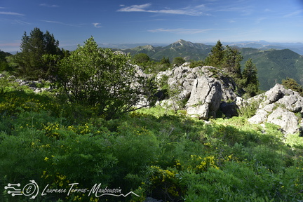 Vue depuis la randonnée panoramique, en boucle sur le plateau de Ceüse, départ depuis le village